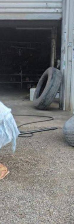 41751612_2213704858883911_9126338580925382656_n