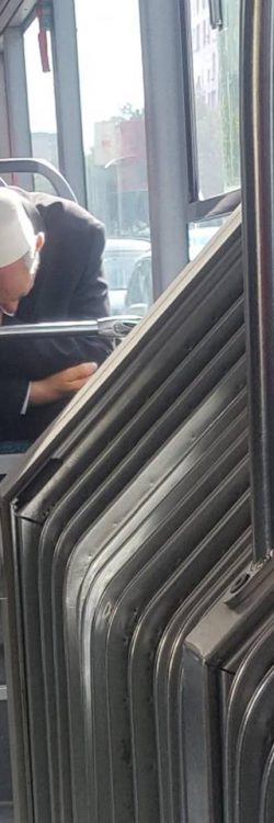 42378193_1775260805932974_230776598633119744_n