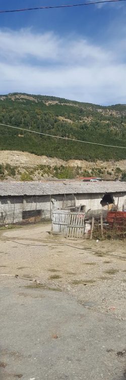 42575645_1778675525591502_6615443855791620096_n