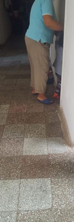 42576586_1778677868924601_7161116066314190848_n