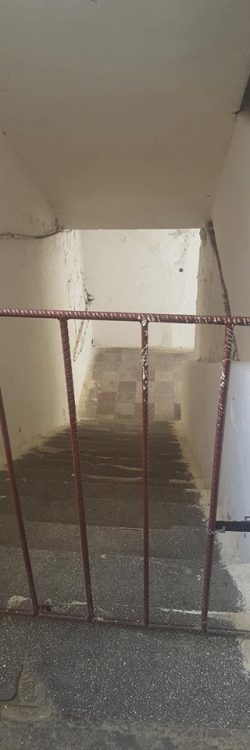 42593400_1778678238924564_627462788863754240_n