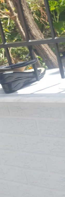 42603539_1778733512252370_5679959691929583616_o