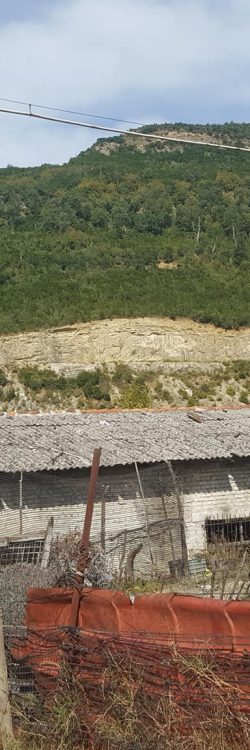 42607397_1778674898924898_7863445795914121216_o