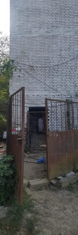 42611754_1778677335591321_1854050936876433408_n