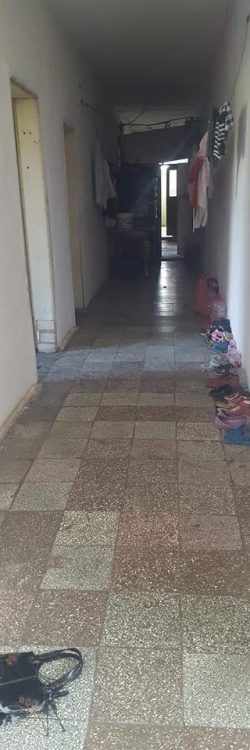 42674843_1778678628924525_4489029766862602240_n