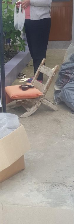 42748033_1778733598919028_8146704296449146880_n