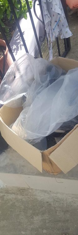 42782842_1778734098918978_3880529709582254080_n