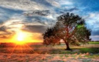 “Vendosi vetes një qëllim që të të bëjë të hidhesh përpjetë nga krevati çdo mëngjes”