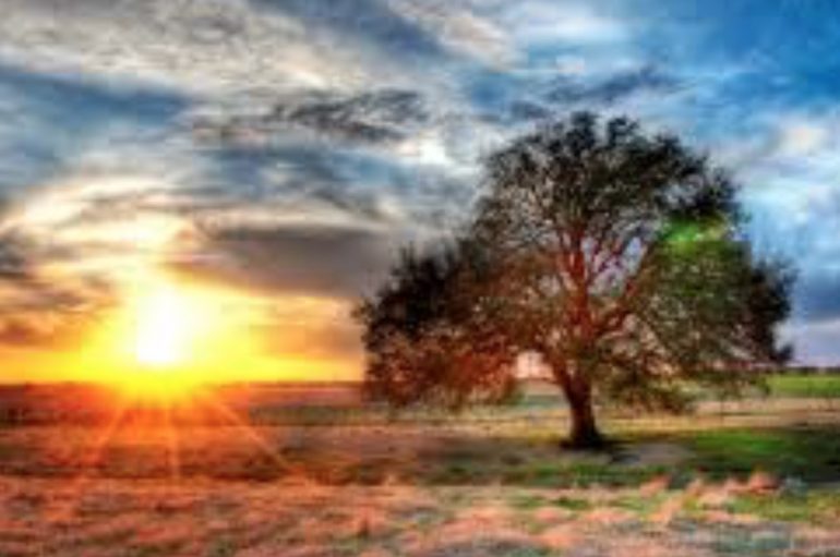 “Vendosi vetes një qëllim që të të bëjë të hidhesh përpjetë nga krevati çdo mëngjes”