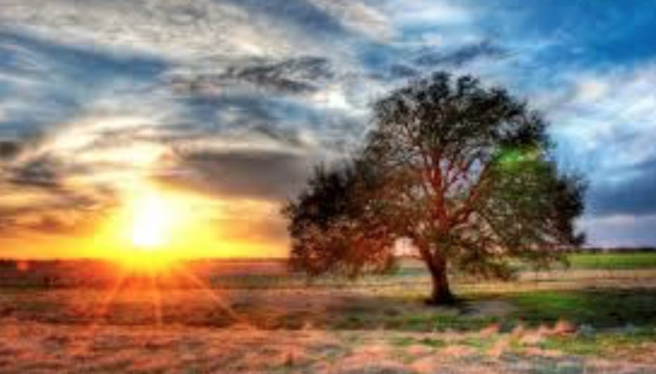 “Vendosi vetes një qëllim që të të bëjë të hidhesh përpjetë nga krevati çdo mëngjes”