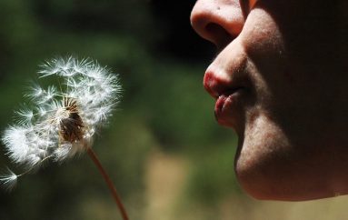 “Paqja fillon kur pritja të përfundojë”