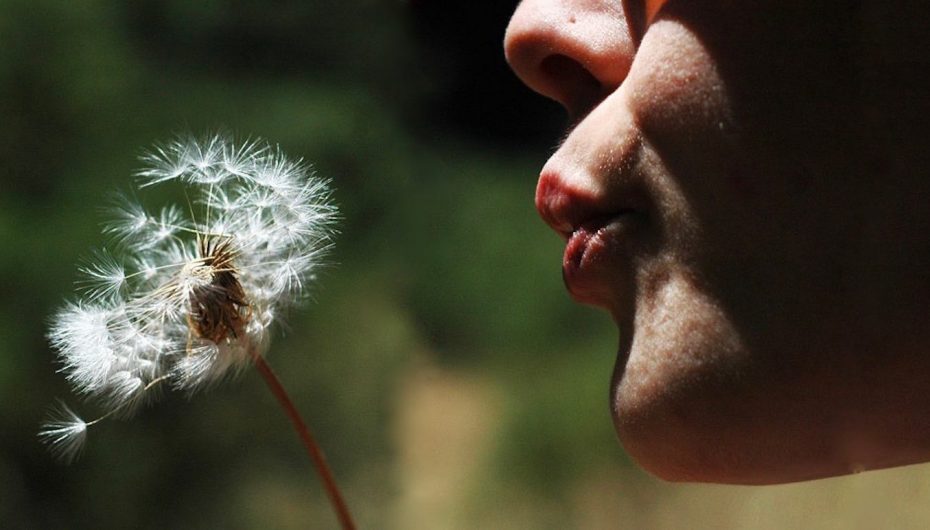 “Paqja fillon kur pritja të përfundojë”