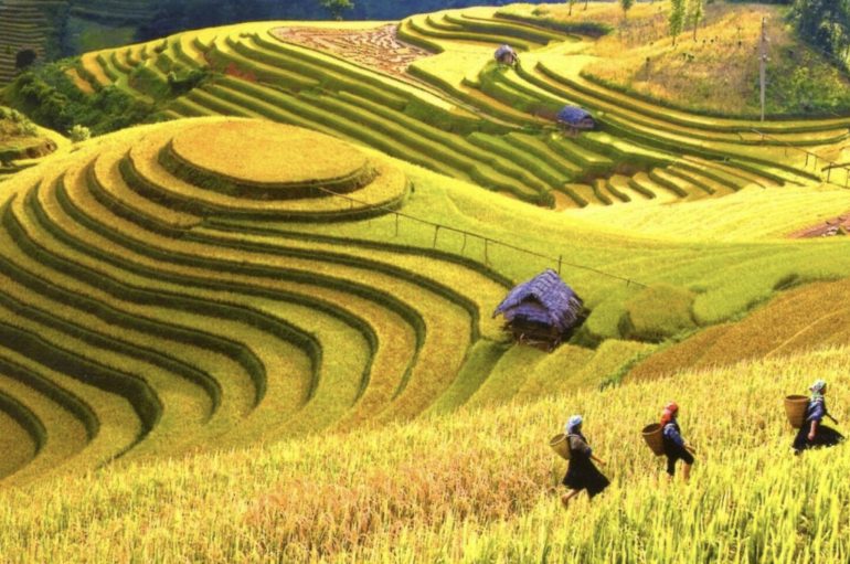 “E bukur është ajo që nuk ndryshon…”