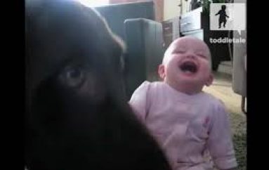 Videoja bëhet virale, e vështirë të mos shkriheni së qeshuri me vogëlushen