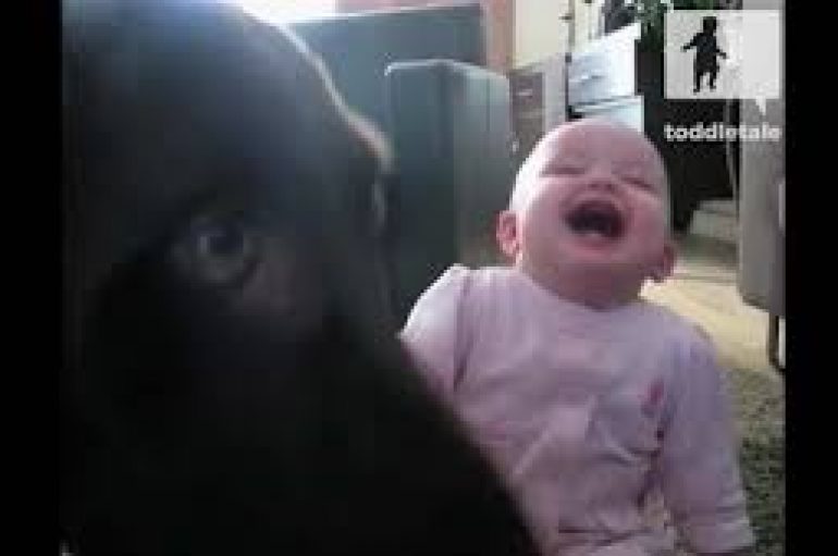 Videoja bëhet virale, e vështirë të mos shkriheni së qeshuri me vogëlushen