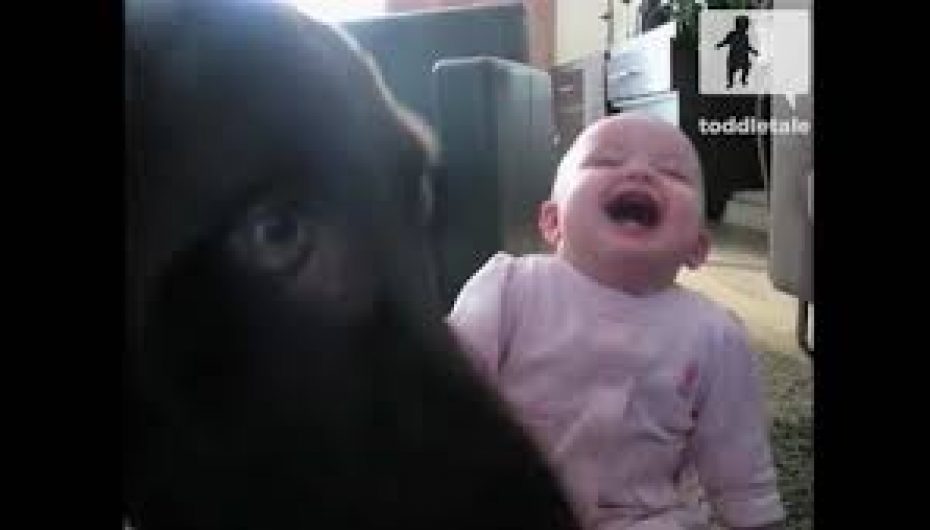 Videoja bëhet virale, e vështirë të mos shkriheni së qeshuri me vogëlushen