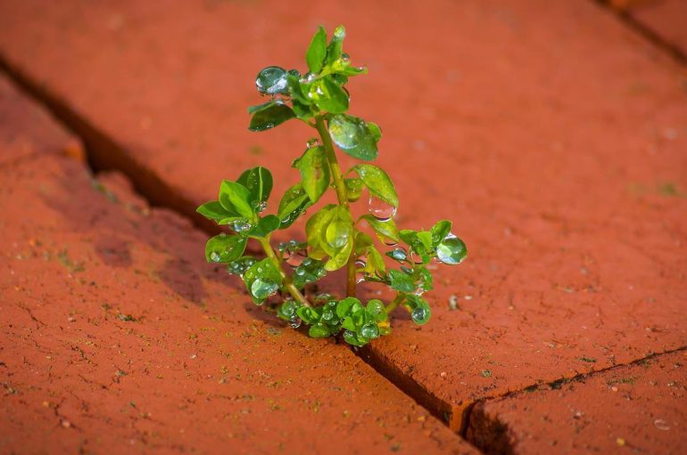 “Kohërat e vështira testojnë trimërinë tuaj, këmbënguljen dhe aftësinë për të marrë vendime. Ata ju detyrojnë të luftoni për ëndrrat tuaja”