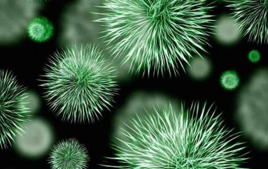 Shkencëtarët bëjnë “zbulim të madh”, mposhtin bakteriet rezistente ndaj antibiotikëve