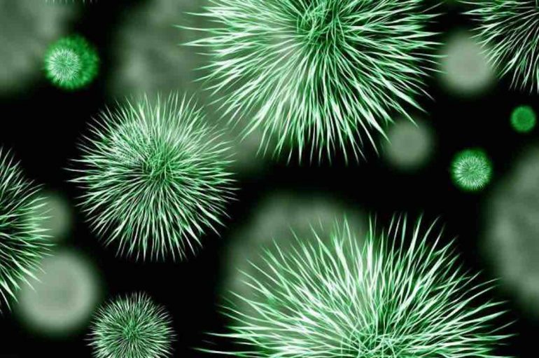 Shkencëtarët bëjnë “zbulim të madh”, mposhtin bakteriet rezistente ndaj antibiotikëve