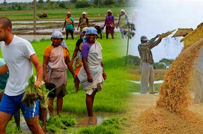 Gratë e fshatit dhe ‘moda’ e qytetit