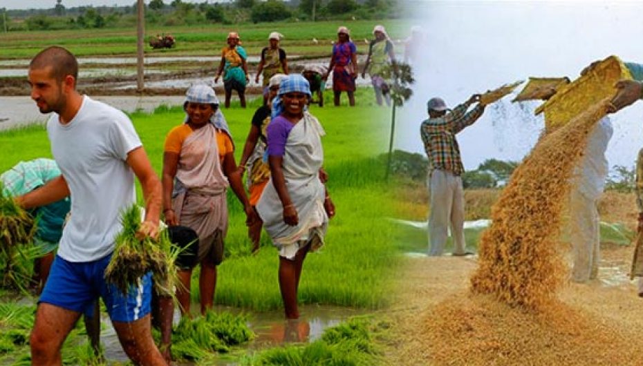 Gratë e fshatit dhe ‘moda’ e qytetit