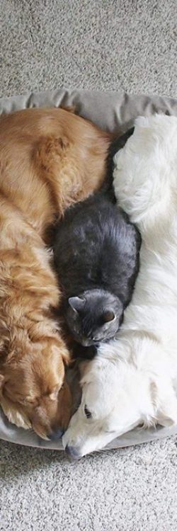 tttttttttttttttttttttttt