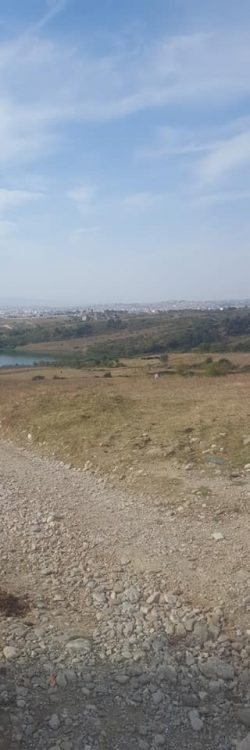 44378461_1807507186041669_7043051555695624192_n