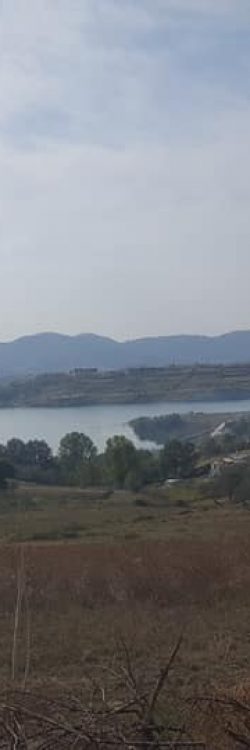 44449743_1807508086041579_739983402941284352_n