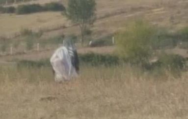 Gjyshja e “hekurt” në Farkë