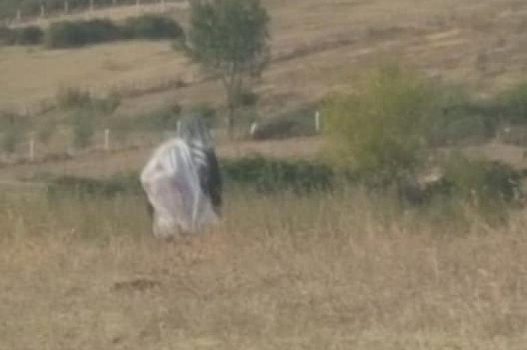 Gjyshja e “hekurt” në Farkë