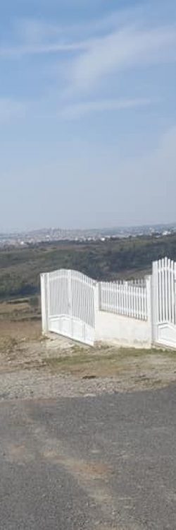 44481274_1807509402708114_2729858286802173952_n