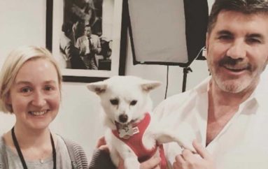 Ylli televiziv dhuron mbi 32,000 dollarë, mbyllet ferma e mishit të qenve 