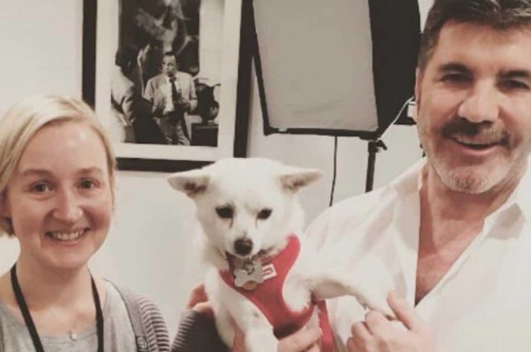 Ylli televiziv dhuron mbi 32,000 dollarë, mbyllet ferma e mishit të qenve 