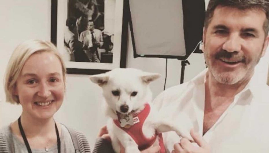 Ylli televiziv dhuron mbi 32,000 dollarë, mbyllet ferma e mishit të qenve 