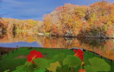 “Vjeshta është një pranverë e dytë ku çdo gjethe është një lule”