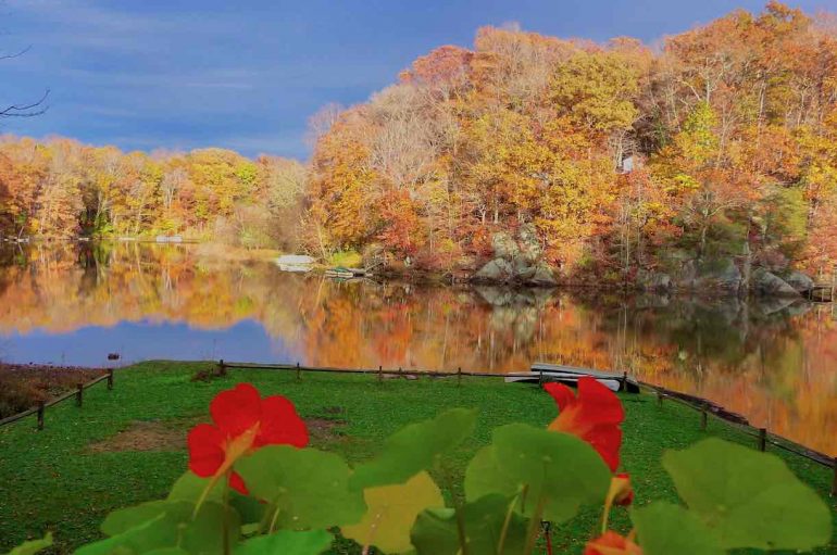 “Vjeshta është një pranverë e dytë ku çdo gjethe është një lule”