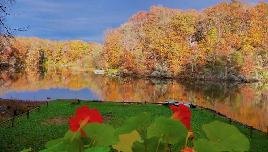 “Vjeshta është një pranverë e dytë ku çdo gjethe është një lule”