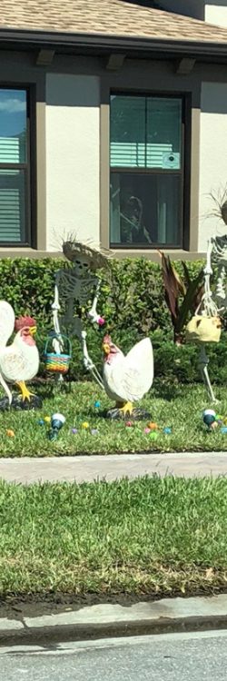 0791l-halloween-skeletons-funny-ideas-14