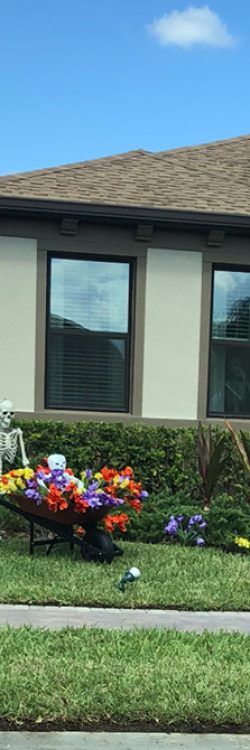 0m2d9-halloween-skeletons-funny-ideas-9