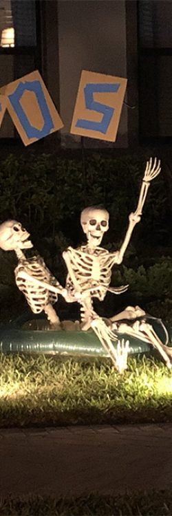 43bm8-halloween-skeletons-funny-ideas-7