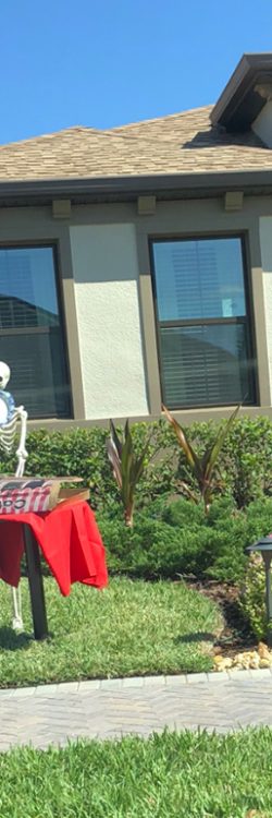 6chis-halloween-skeletons-funny-ideas-18