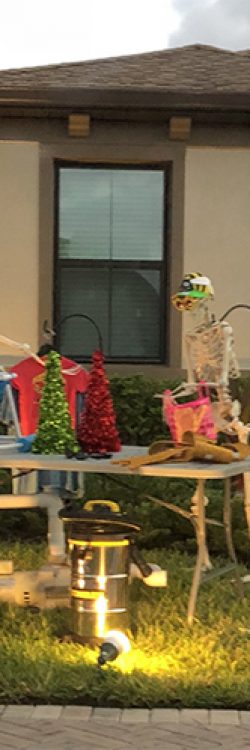 86ly3-halloween-skeletons-funny-ideas-20