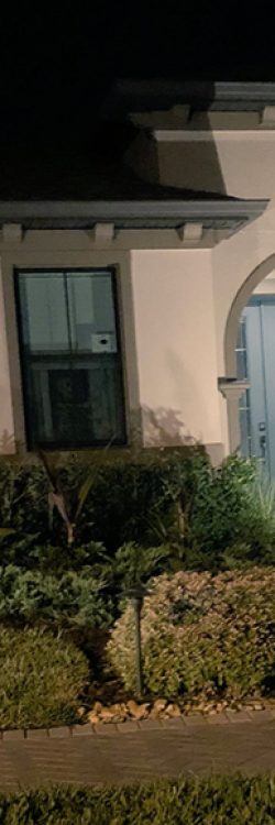 8djrn-halloween-skeletons-funny-ideas-16