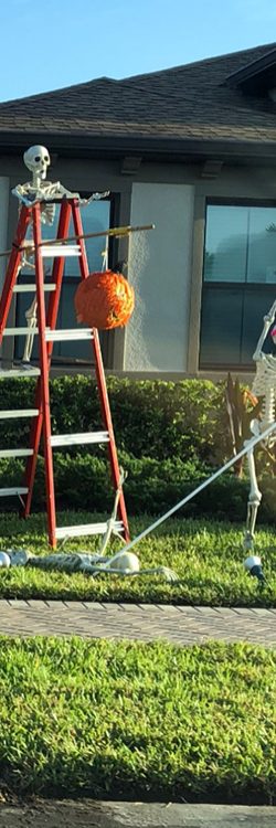 d38v6-halloween-skeletons-funny-ideas-11