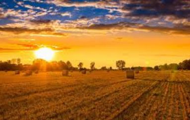 “Fjalët tuaja mund të mbjellin farën e suksesit ose të dështimit”