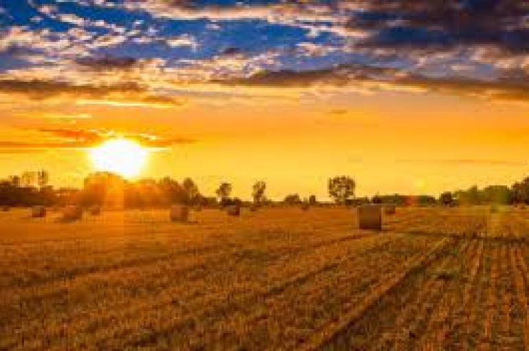 “Fjalët tuaja mund të mbjellin farën e suksesit ose të dështimit”