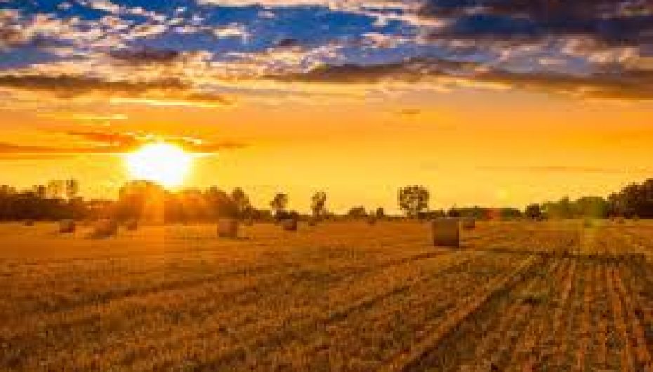 “Fjalët tuaja mund të mbjellin farën e suksesit ose të dështimit”