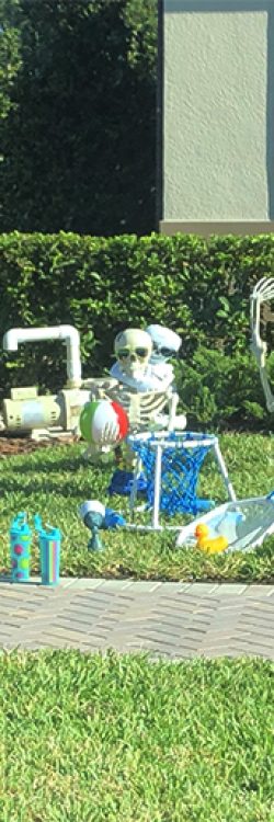 g4o0w-halloween-skeletons-funny-ideas-10