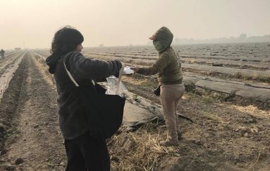 Mësuesja shpërndan maska në zona rurale, për të shpëtuar punëtorët e fermave nga rreziku