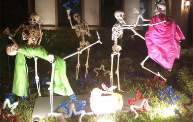 Kjo shtëpi paraqet skeletet e tyre të Halloween, me skenarë ndryshe çdo ditë